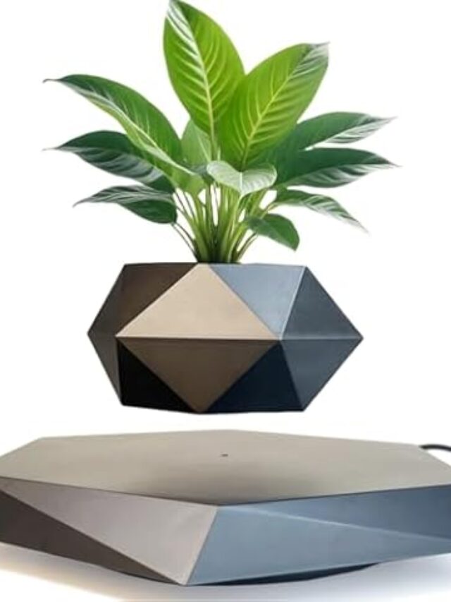✨ Levitating Air Bonsai Pot – The Magic of Floating Plants! 🌿